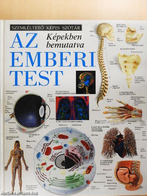 Az emberi test