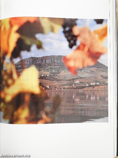 Fotó 1972. január-december