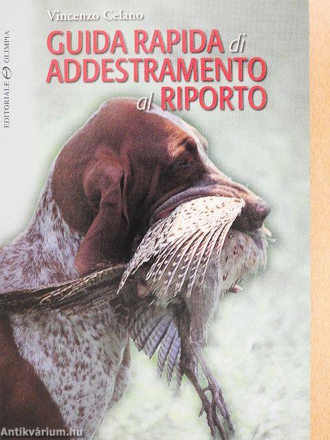 Guida rapida di addestramento al riporto