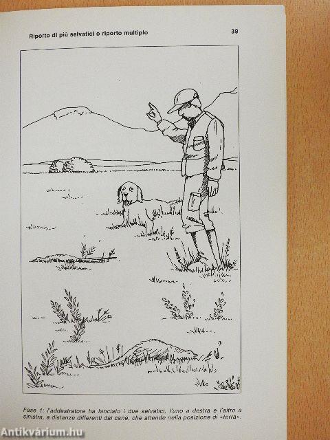 Guida rapida di addestramento al riporto