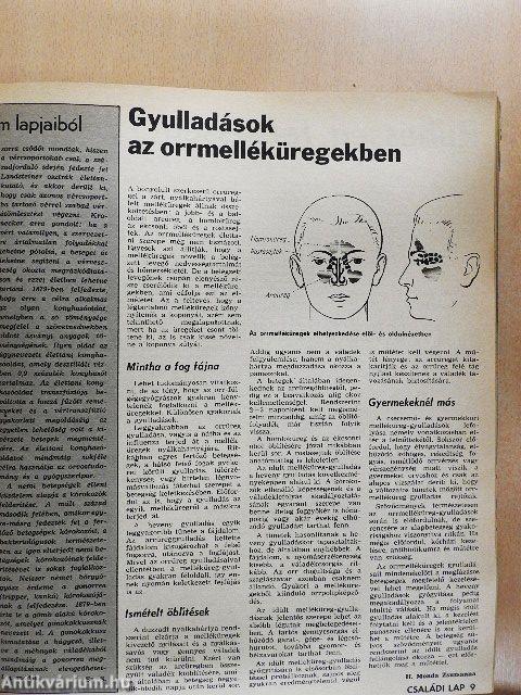 Családi Lap 1979-1980. január-december