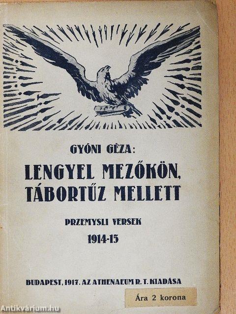 Lengyel mezőkön, tábortűz mellett