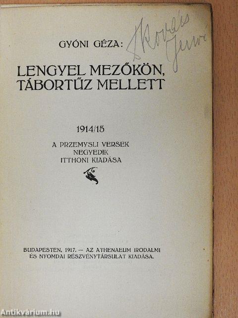 Lengyel mezőkön, tábortűz mellett