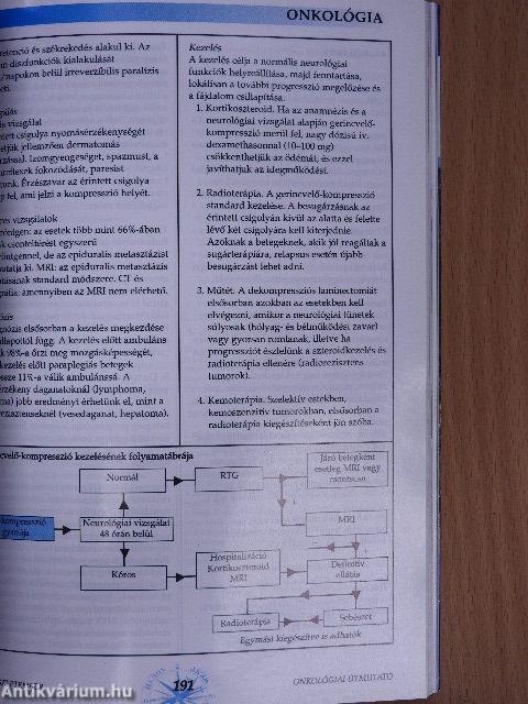 Onkológiai/Onkohematológiai útmutató 2006