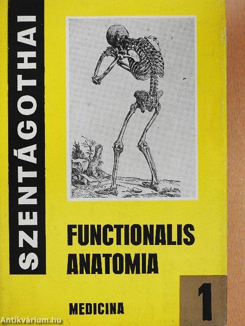 Functionalis anatomia 1.