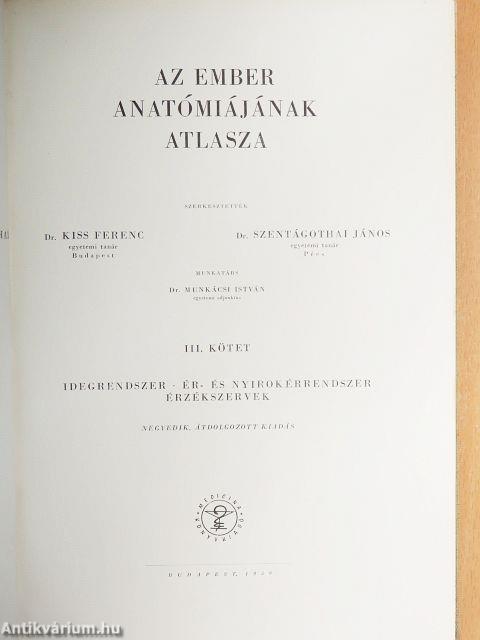 Az ember anatómiájának atlasza III. (töredék)