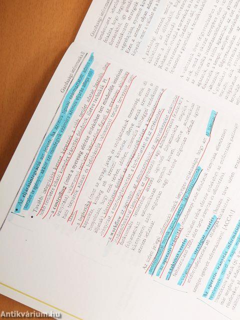 Gazdasági informatika II.