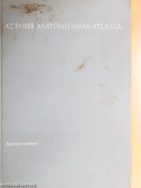 Az ember anatómiájának atlasza 2. (töredék)