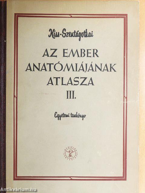 Az ember anatómiájának atlasza III. (töredék)