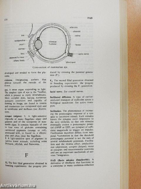 Macmillan Dictionary of Life Sciences