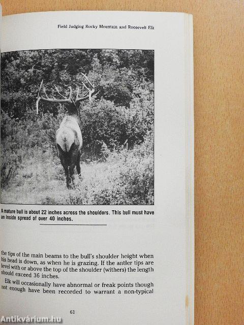 Field Judging Trophy Animals