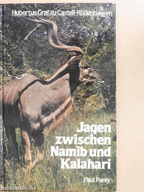 Jagen zwischen Namib und Kalahari