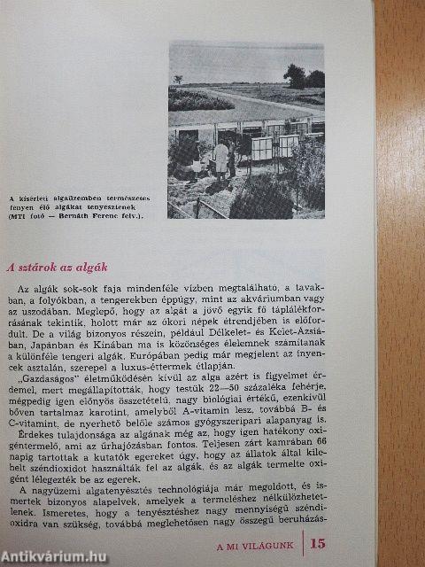 Mit eszünk holnap?