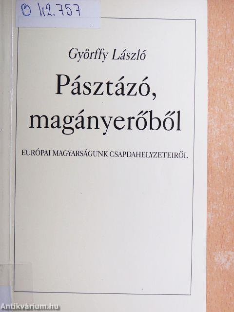 Pásztázó, magányerőből