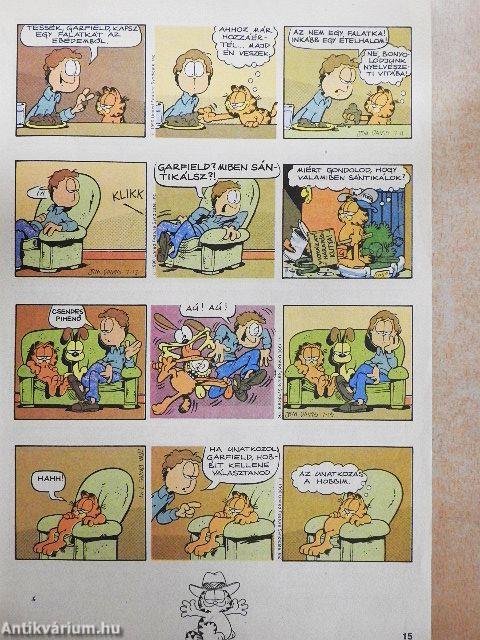 Garfield 1991/7.