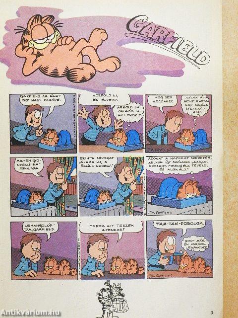 Garfield 1991/3.