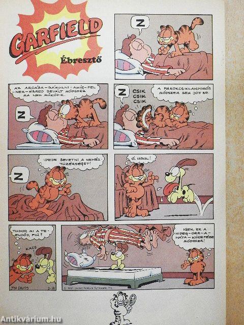 Garfield 1991/3.