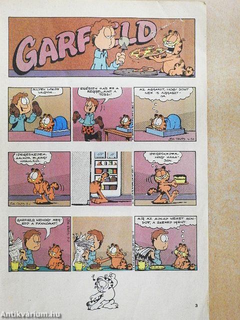 Garfield 1991/5.