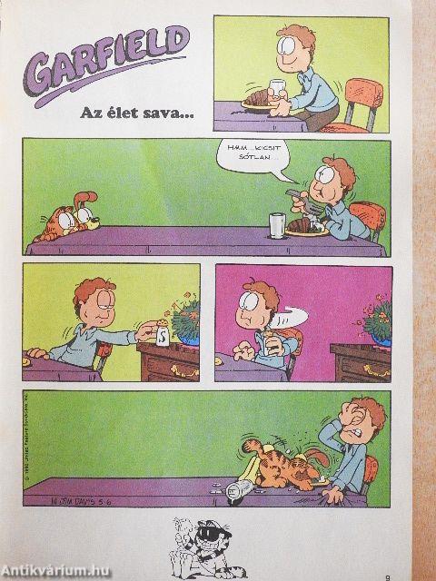 Garfield 1991/5.