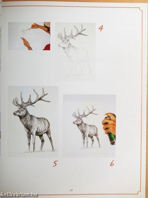 The Artist's Guide to Drawing Realistic Animals