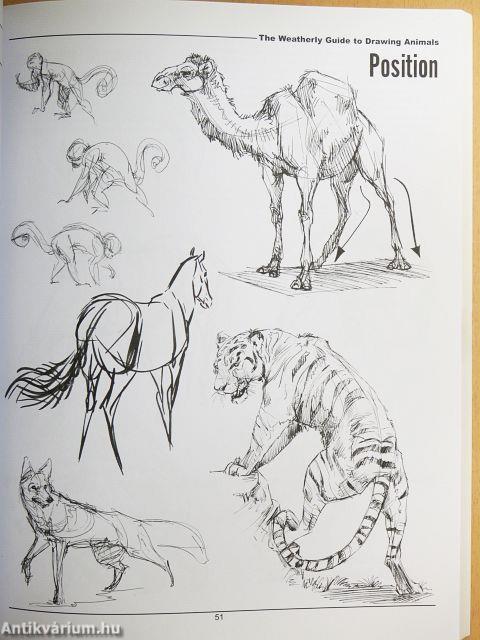 The Weatherly Guide to Drawing Animals