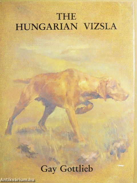 The Hungarian Vizsla