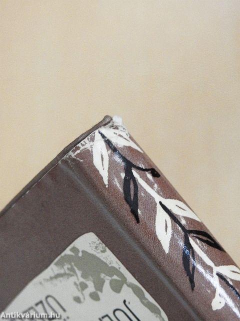 Julius Caesar úr üzletei