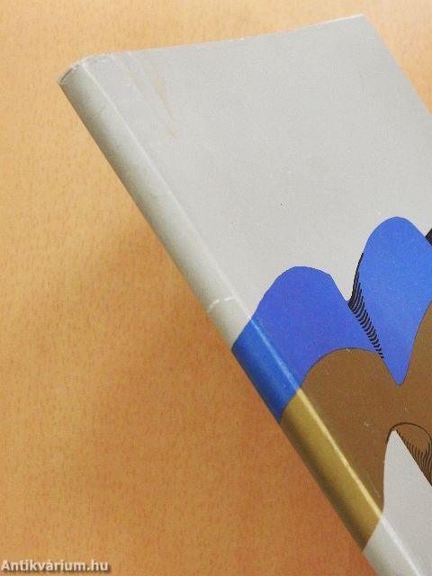 Az újabbkori Magyarország földrajzi-történelmi ismertetése