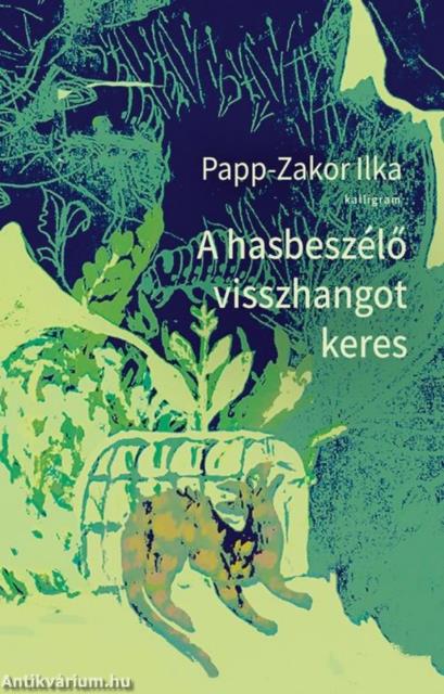 A hasbeszélő visszhangot keres