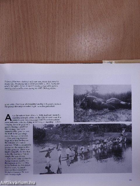 The Animal Art of Wilhelm Kuhnert