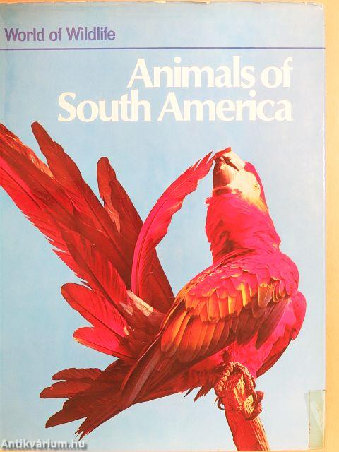 Animals of South America