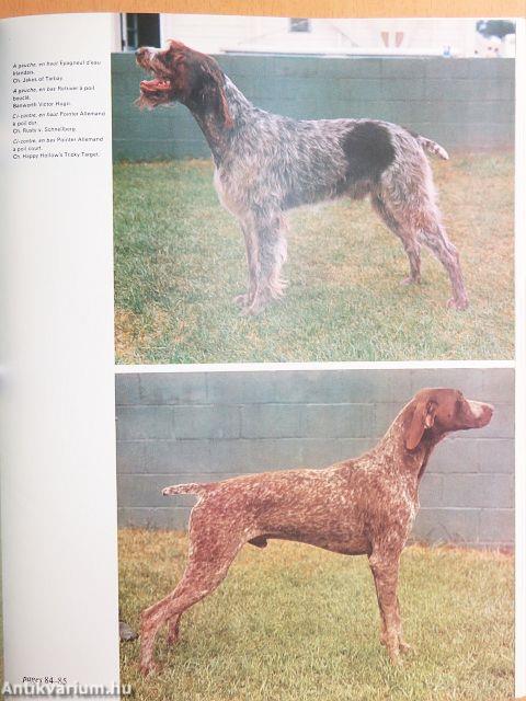 Encyclopédie Internationale des Chiens