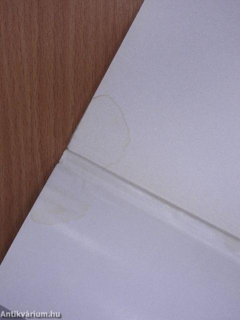 Az újabbkori Magyarország földrajzi-történelmi ismertetése