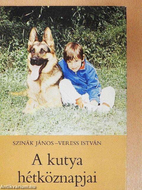 A kutya hétköznapjai