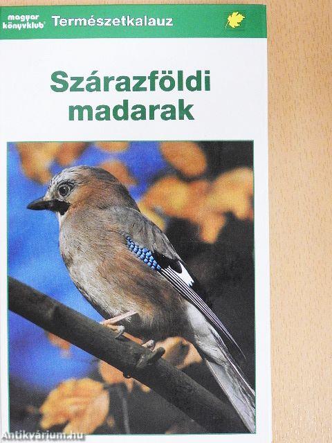 Szárazföldi madarak