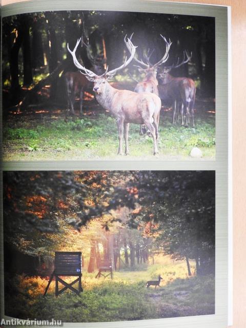 Vadászösvényeken fényképezőgéppel (dedikált példány)