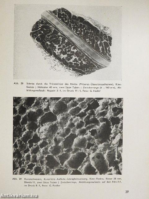 Exakta Makro und Mikro Fotografie