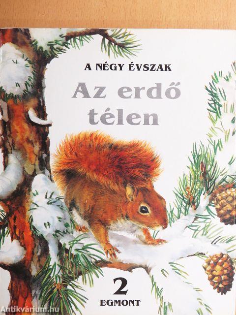 Az erdő télen