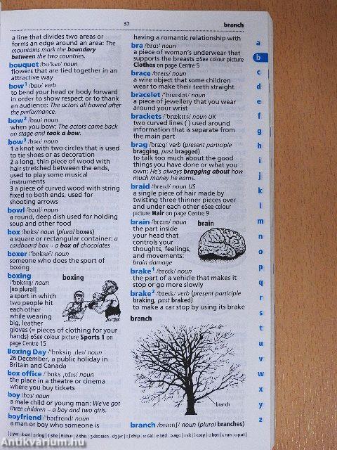 Cambridge Essential English Dictionary