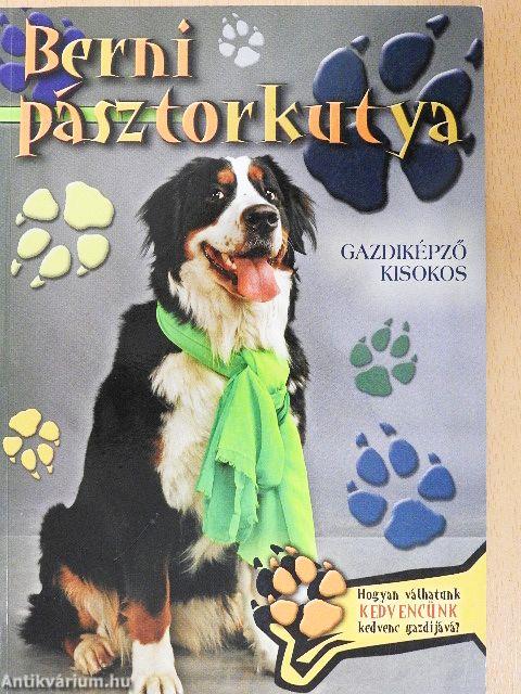 Berni pásztorkutya