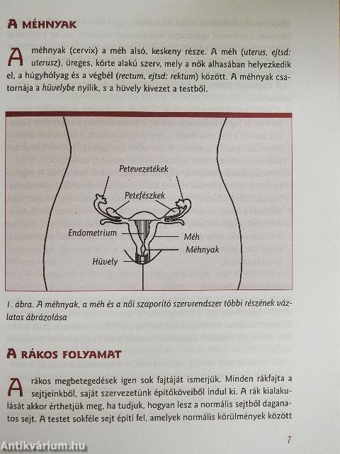Amit a méhnyakrákról tudni kell