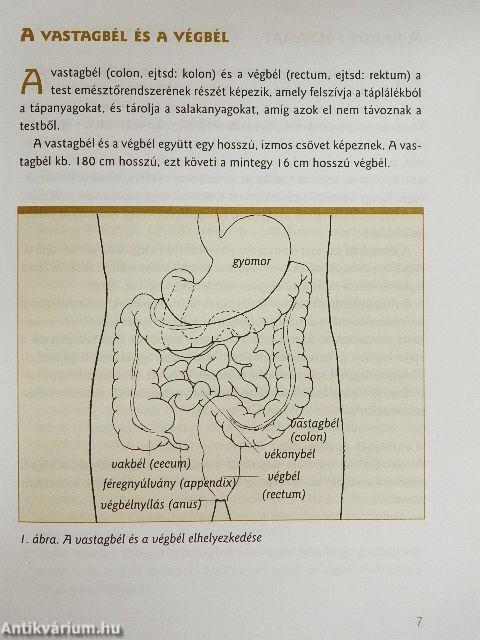 Amit a vastagbél- és végbélrákról tudni kell