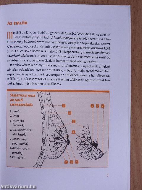 Amit az emlőrákról tudni kell