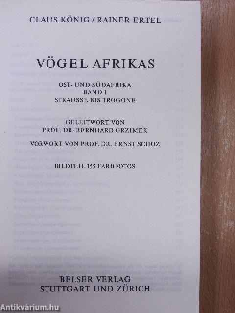 Vögel Afrikas