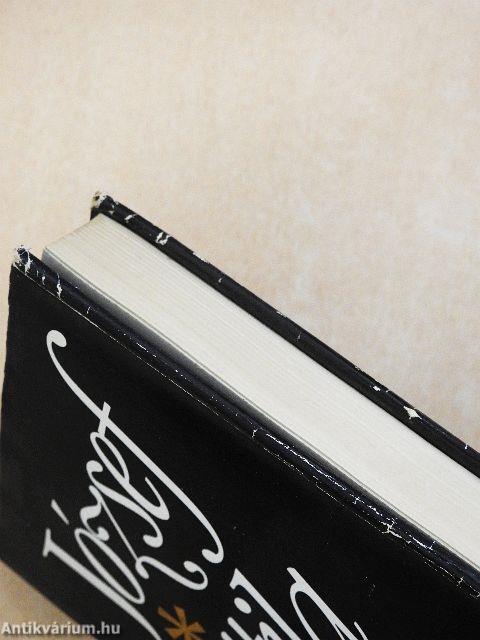 József Attila útjain