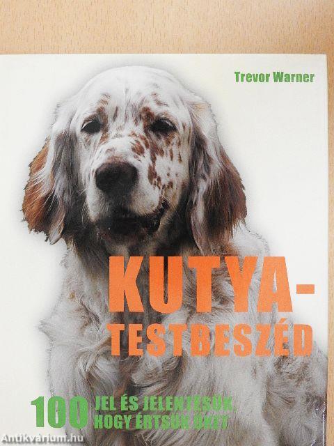 Kutya-testbeszéd