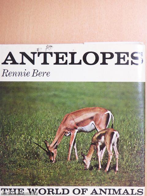 Antelopes