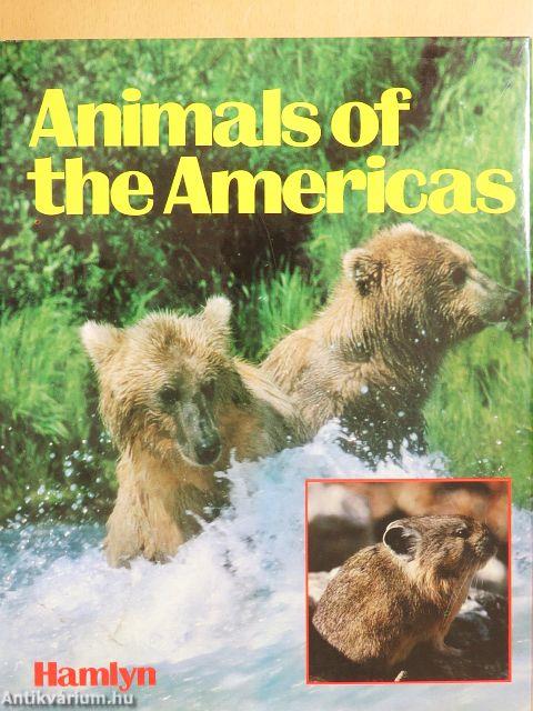 Animals of the Americas