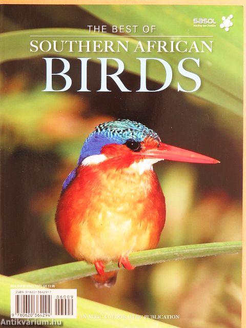 The Best of Southern African Birds