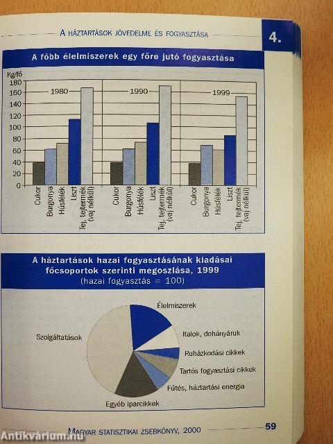 Magyar statisztikai zsebkönyv 2000.